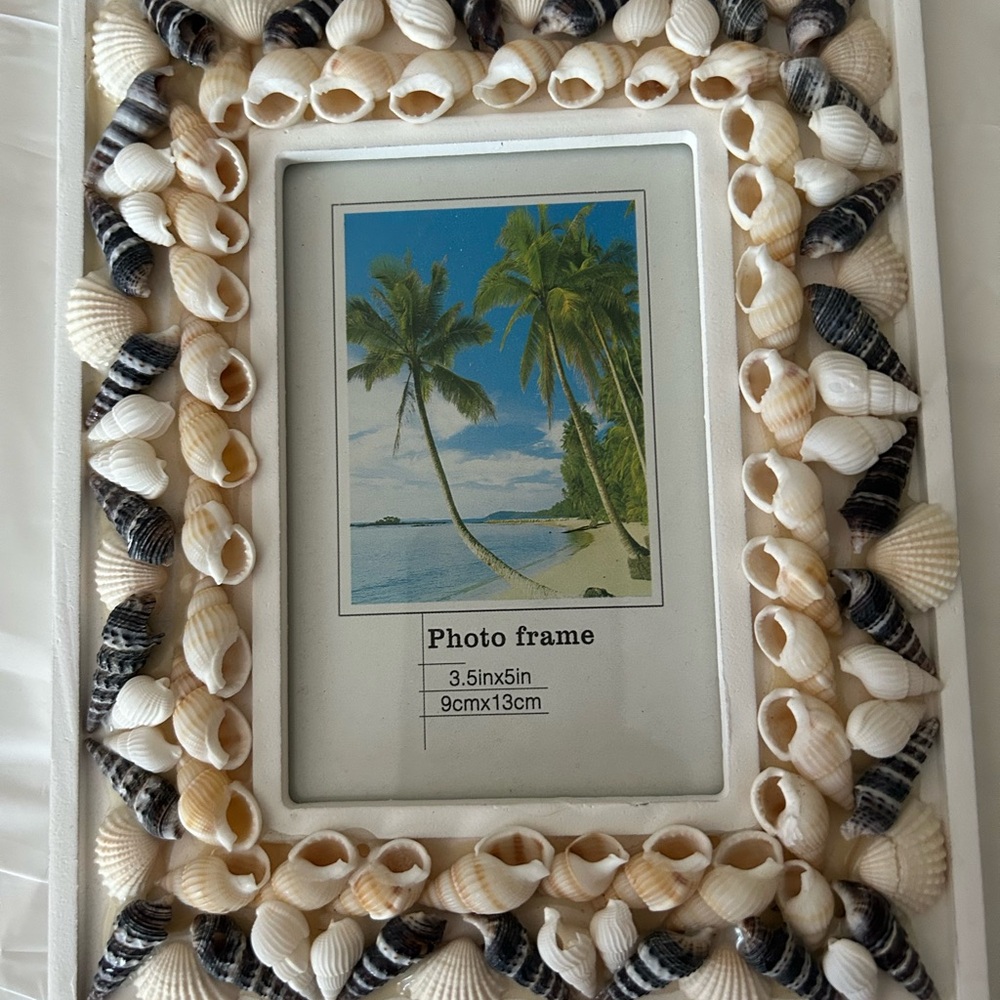 Seashell Photo Frame - White and Black